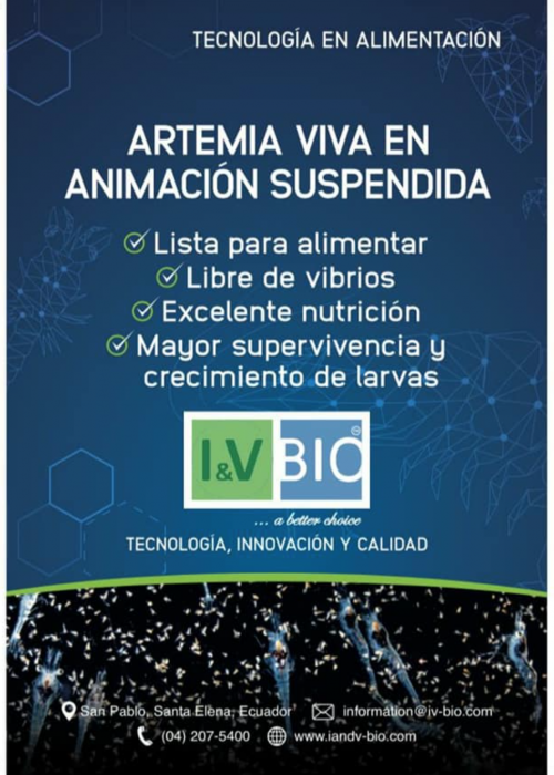 Screen Shot 2020-11-28 at 11.36.47